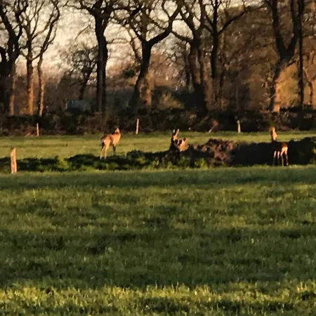 Fehnland * Großefehn